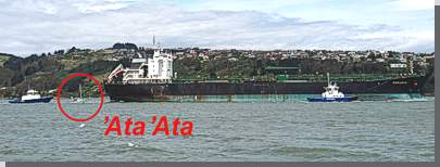 Unser Schiff zwischen Tanker und Bugsierer im Hafen von Dunedin