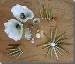 Muschelernte