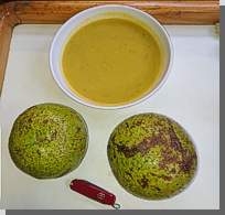 Avocadosuppe