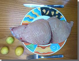Schwertfisch