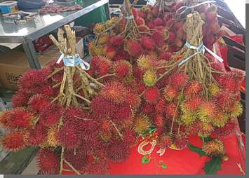 Rambutan