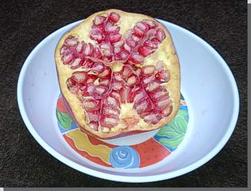 Granatapfel