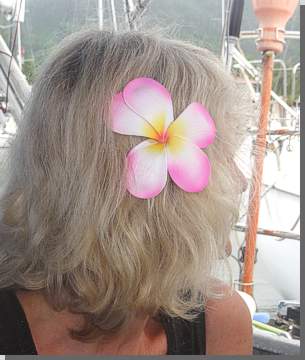 Frangipani