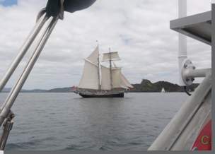 Segelschiffe in Neuseeland