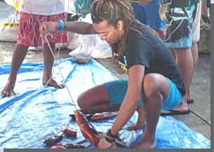 Gefangene Fische