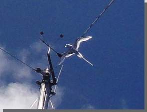 Ein Tropikvogel prft unseren Masttop als Landeplatz